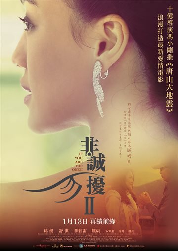 If You Are The One 2 Poster