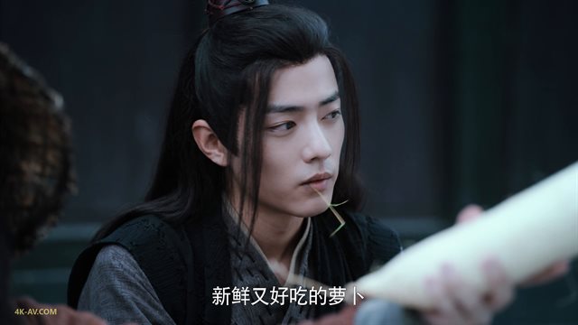 陈情令 第30集