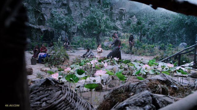 陈情令 第31集
