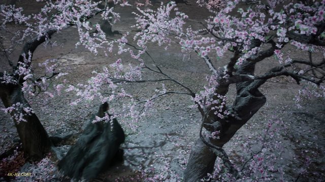 三生三世十里桃花 第30集