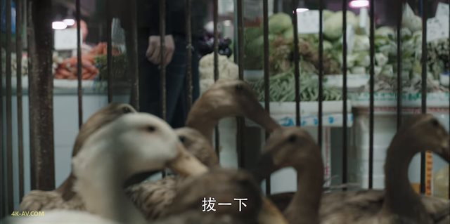 扫黑风暴 第4集