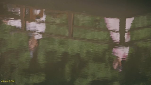 且试天下 第7集