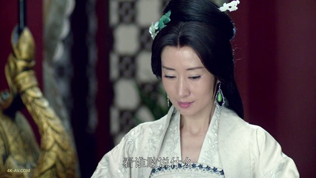 琅琊榜 第1季第25集