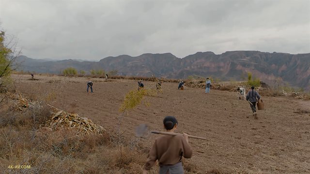 那年花开月正圆 第24集