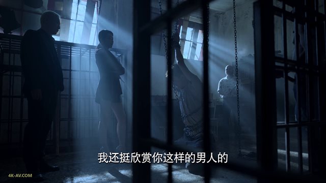 公诉 第17集