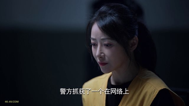 公诉 第27集