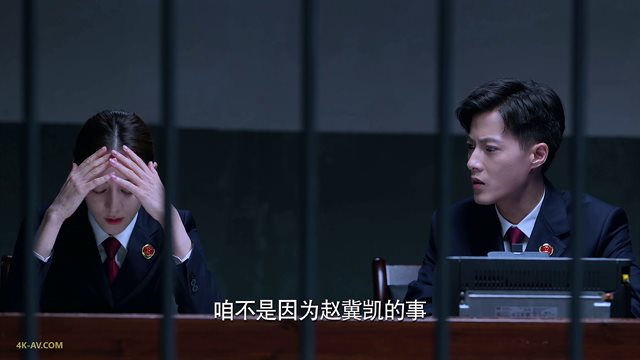 公诉 第33集
