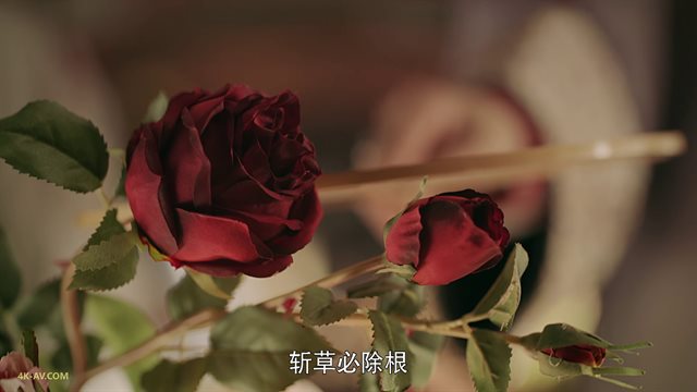 延禧攻略 第8集 高贵妃刁难璎珞