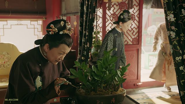 延禧攻略 第50集 继后夜跪乾清宫