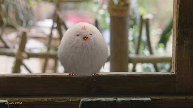 长相思 第1季第4集