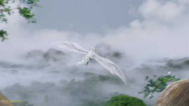 长相思 第1季第30集