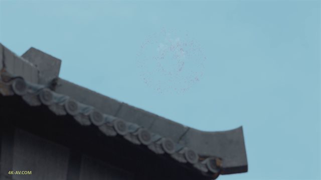 赘婿 第33集
