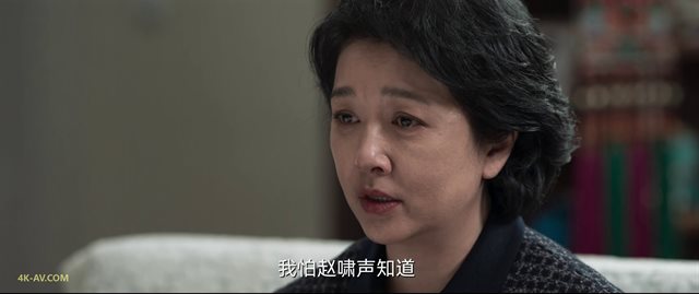 罚罪 第23集