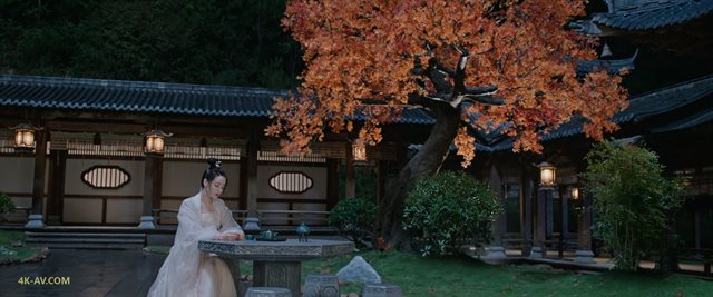 安乐传 第30集