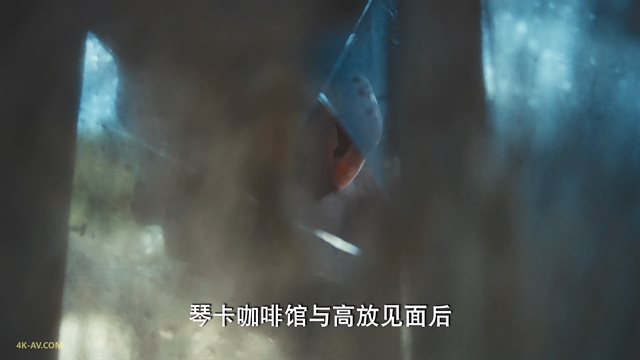 梅花红桃 第11集