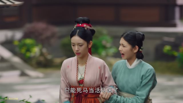 为有暗香来 第6集