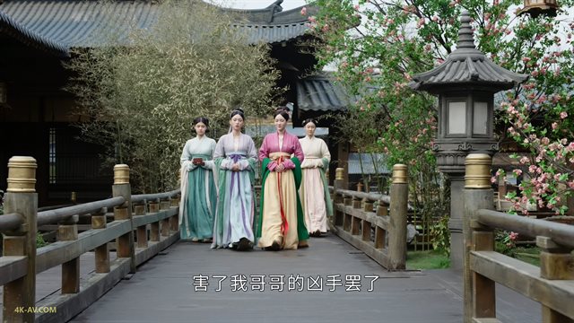 为有暗香来 第20集