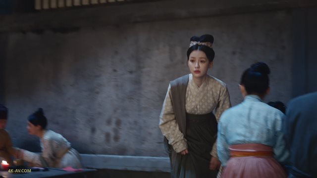 为有暗香来 第29集