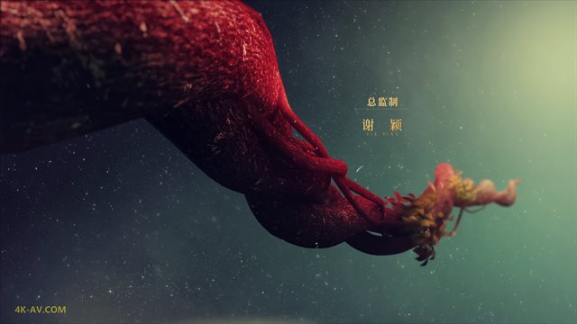 司藤 第1集