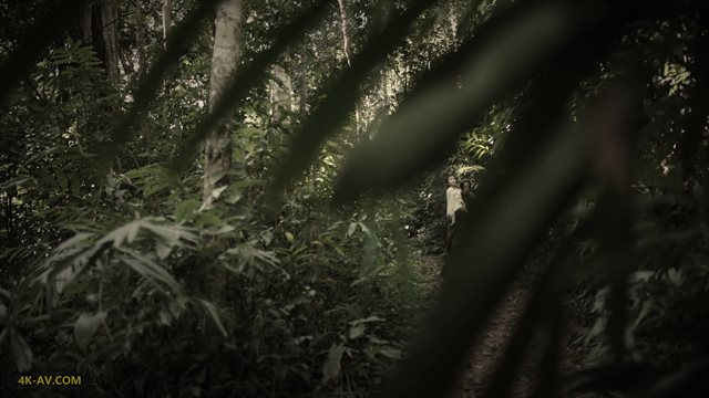 司藤 第4集