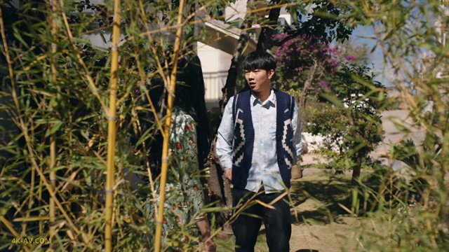 司藤 第25集