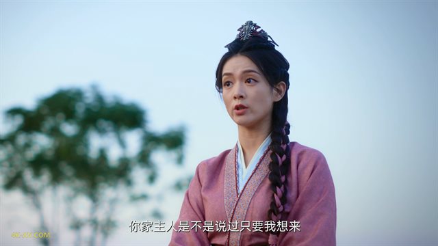 一念关山 第29集