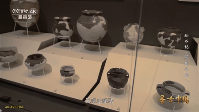 寻古中国·稻谷记 第2集 晨曦寻稻
