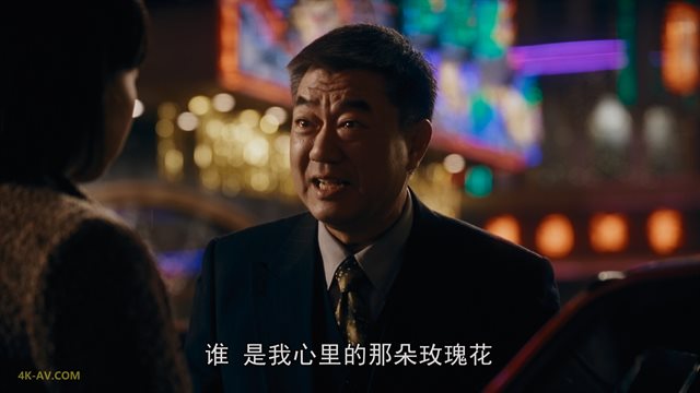 繁花 普通话版 第12集