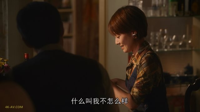繁花 普通话版 第14集