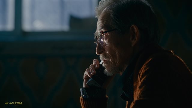 繁花 普通话版 第29集