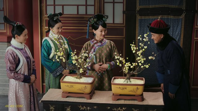 如懿传 第9集