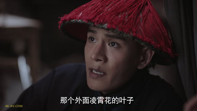 如懿传 第24集