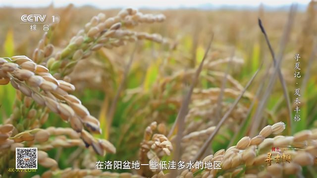 寻古中国·寻夏记 第3集 夏禾丰裕