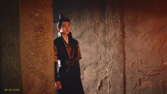 亲爱的司丞大人 第9集