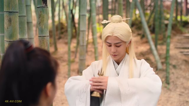 亲爱的司丞大人 第11集