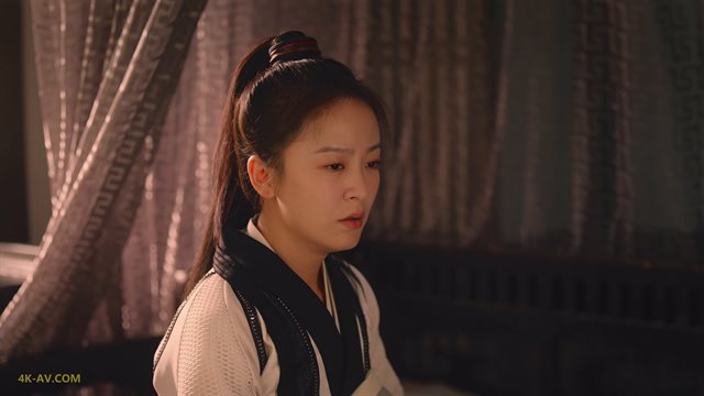 亲爱的司丞大人 第15集