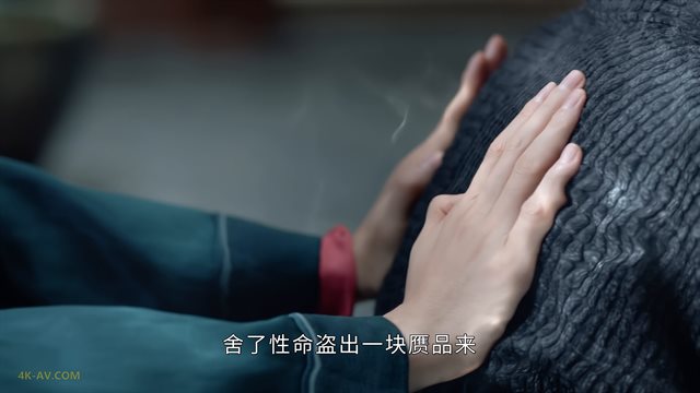 山河令 第29集