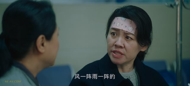 春色寄情人 第13集