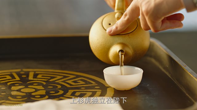 庆余年 特别版 第1季第22集