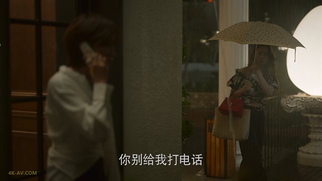 玫瑰的故事 第6集