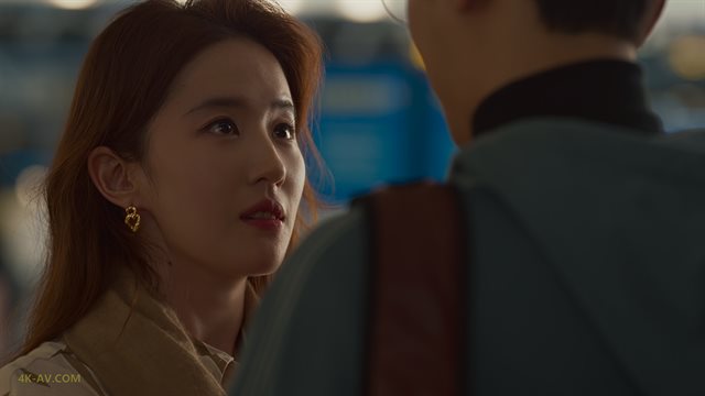 玫瑰的故事 第10集