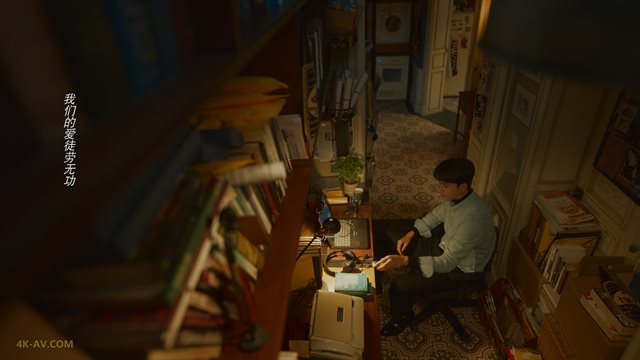 玫瑰的故事 第11集