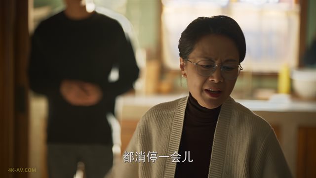 玫瑰的故事 第13集