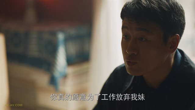 玫瑰的故事 第14集