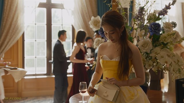 玫瑰的故事 第17集