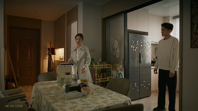 玫瑰的故事 第26集