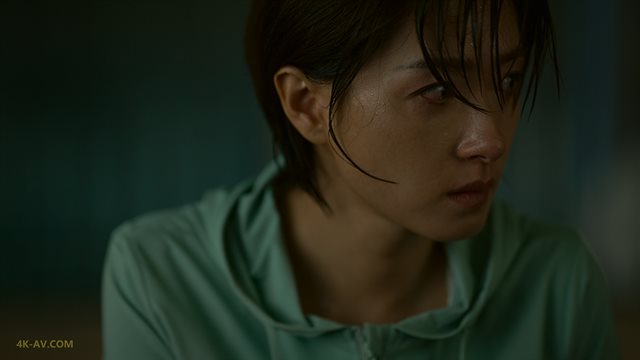 玫瑰的故事 第27集