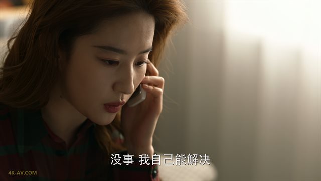 玫瑰的故事 第28集