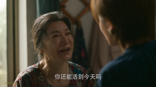 玫瑰的故事 第31集