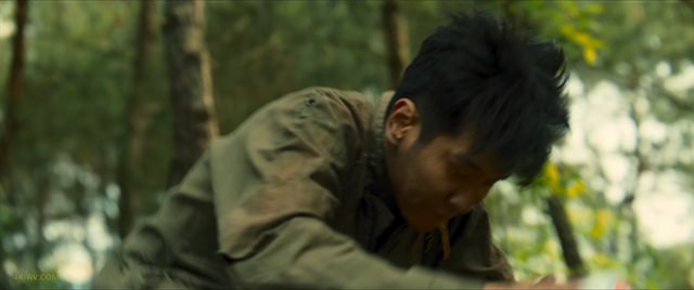 孤战迷城 第22集